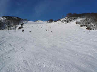 P1100475.JPG (118097 バイト)
