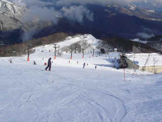 P1100478.JPG (127406 バイト)