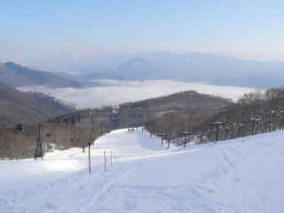 P1100487.JPG (101105 バイト)