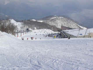 P1100491.JPG (127030 バイト)