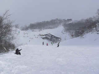 P1100509.JPG (105470 バイト)