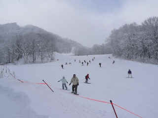 P1100535.JPG (100264 バイト)