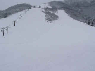 P1100557.JPG (91628 バイト)