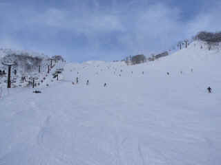 P1100646.JPG (97563 バイト)