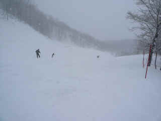P1100670.JPG (86472 バイト)