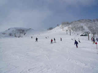 P1100696.JPG (101281 バイト)