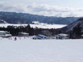 P1100699.JPG (110758 バイト)