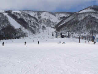 P1100700.JPG (123120 バイト)