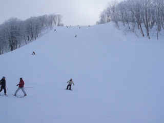 P1100745.JPG (89387 バイト)