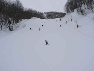 P1100787.JPG (94888 バイト)