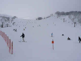 P1100935.JPG (87940 バイト)