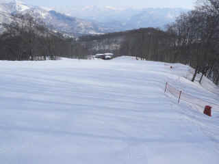 P1100958.JPG (111212 バイト)