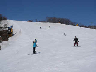 P1110031.JPG (98686 バイト)