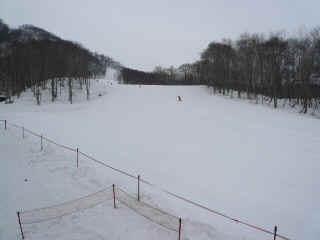 P1110050.JPG (98420 バイト)
