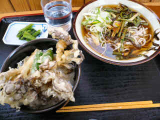 P1110081.JPG (145188 バイト)