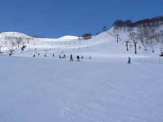 P1110414.JPG (100974 バイト)